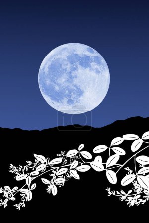 Foto de Luna llena en el cielo nocturno, montañas oscuras y ramas con hojas - Imagen libre de derechos
