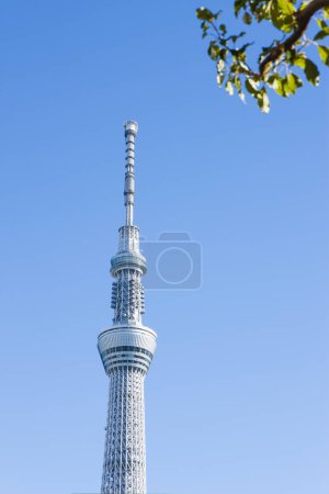 Foto de Torre del Observatorio Skytree de Tokio en la ciudad - Imagen libre de derechos