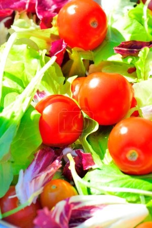 Foto de Fondo de verduras frescas, tomates cherry maduros y hojas de lechuga - Imagen libre de derechos