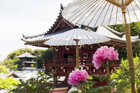 Hasedera temple, The famous temple in the city of Kamakura, Japan and flowers