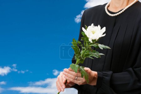 woman holding the white chrysanthemum on background, close up