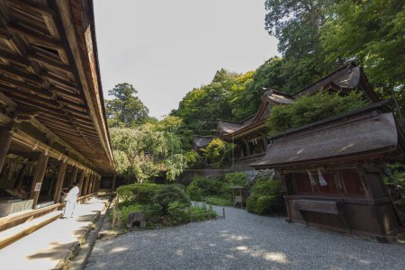 Téléchargez les photos : Image captivante d'un ancien sanctuaire japonais - en image libre de droit