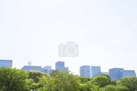 Photo for Green trees in front of skyscrapers in the city - Royalty Free Image