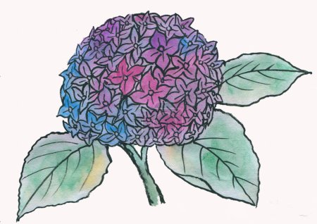 Téléchargez les photos : Fleurs aquarelle dessinées à la main isolées sur fond blanc - en image libre de droit