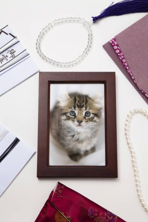 Photo for Family pet cat portrait in a wooden frame - Royalty Free Image