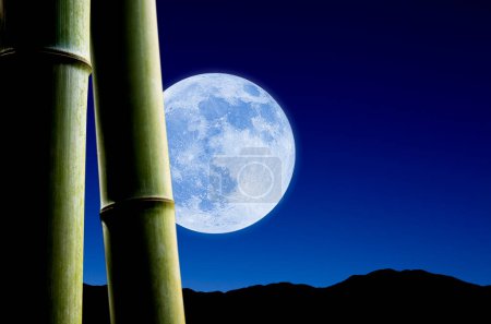 Téléchargez les photos : Lune avec branches de bambou - en image libre de droit