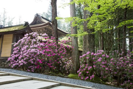 Foto de Hermoso jardín con árboles verdes y flores púrpuras - Imagen libre de derechos