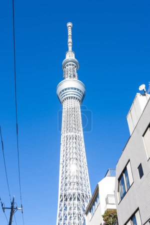 Photo for Tokyo Skytree observatory tower in the city - Royalty Free Image