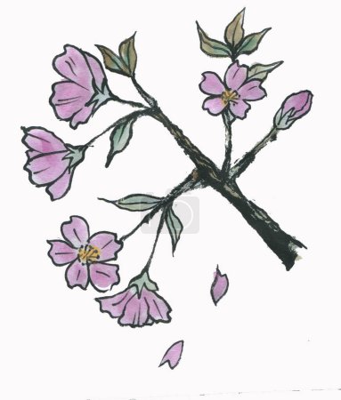 Foto de Acuarela dibujada a mano flores aisladas sobre fondo blanco - Imagen libre de derechos