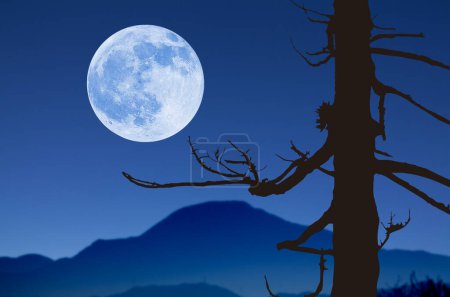 Foto de Luna y árboles muertos en las montañas - Imagen libre de derechos