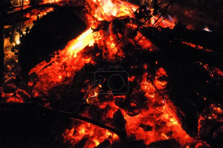 Téléchargez les photos : Vue rapprochée du feu brûlant dans la forêt - en image libre de droit