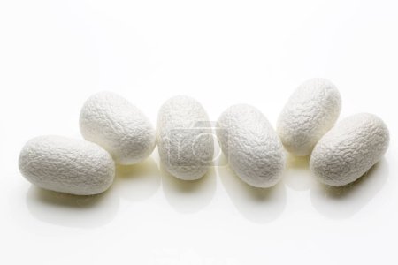 Photo for Beautiful natural silkworm cocoons - Royalty Free Image