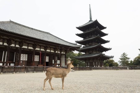 Wooden tower at Kofukuji Temple in Nara, Japan