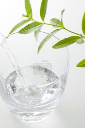 Foto de Un vaso de agua con hojas verdes en el fondo, de cerca - Imagen libre de derechos