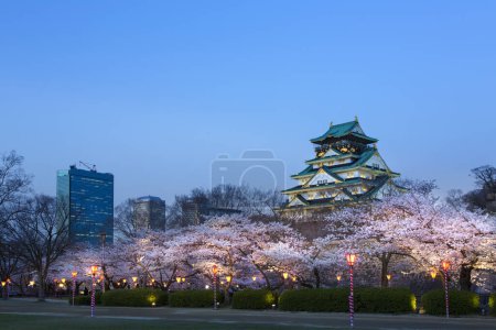 hermoso castillo de Osaka con flor de cerezo, Osaka, Japón
