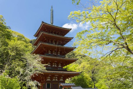Foto de Pagoda tradicional de madera en el templo Hasedera, Nara, Japón - Imagen libre de derechos