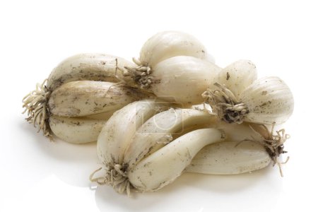 Photo for Garlic bulbs isolated on white background - Royalty Free Image