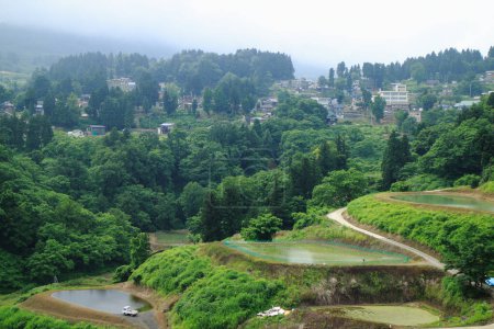 Téléchargez les photos : Rizières vertes paysage en montagne - en image libre de droit