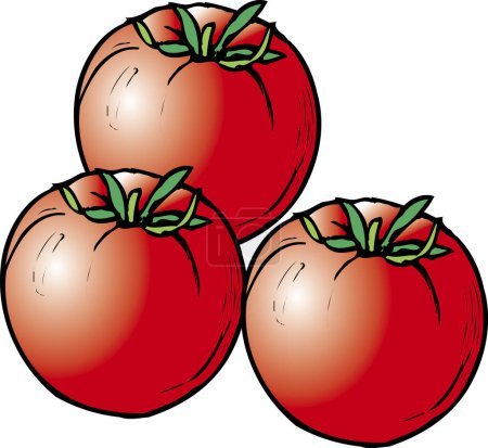 Téléchargez les photos : Illustration simple de tomates sur fond blanc - en image libre de droit