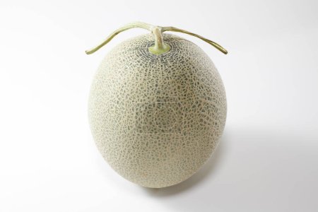 Téléchargez les photos : Melon mûr entier isolé sur fond blanc - en image libre de droit