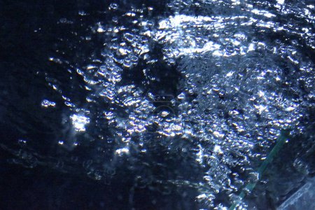 Foto de Burbujas de oxígeno de la bomba de aire en el acuario - Imagen libre de derechos