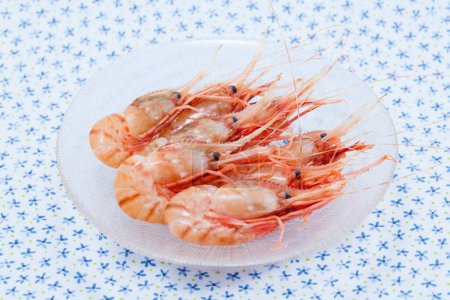 Photo for Shrimps on a plate with a blue napkin - Royalty Free Image