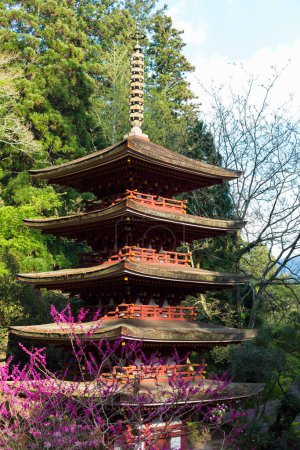 Téléchargez les photos : Beau temple Hasedera, Kamakura, Japon - en image libre de droit