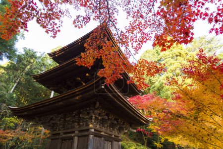 Foto de Pintoresca vista de un impresionante antiguo santuario japonés - Imagen libre de derechos