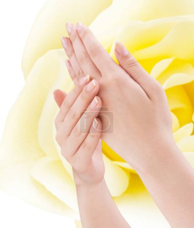 Téléchargez les photos : Hands with french manicure on background, close up - en image libre de droit