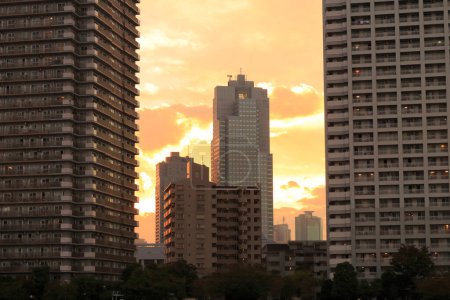 Téléchargez les photos : Tokyo horizon de la ville au coucher du soleil, Japon - en image libre de droit