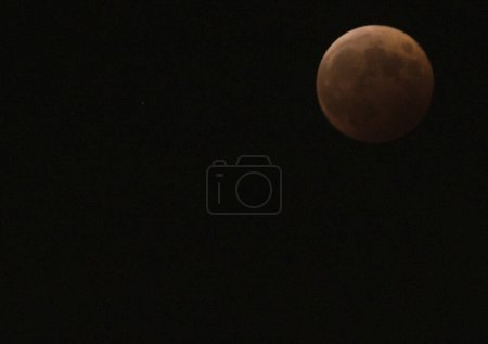 Photo for Moon in the night sky - Royalty Free Image