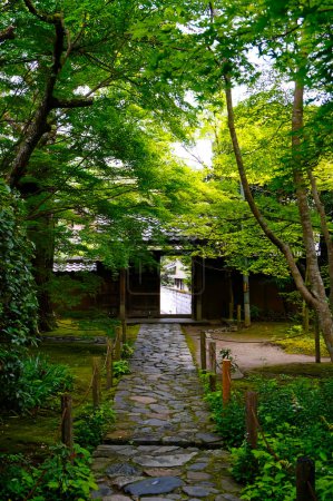 Photo for Scenic shot of beautiful ancient Japanese building in forest surrounded with trees - Royalty Free Image