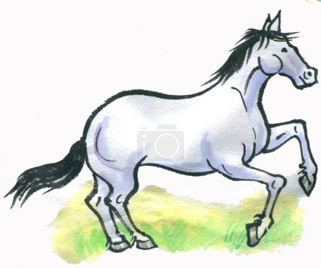 Téléchargez les photos : Illustration aquarelle dessinée à la main d'un cheval - en image libre de droit