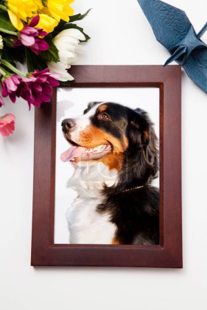 Photo for Family pet dog portrait in a funeral frame - Royalty Free Image