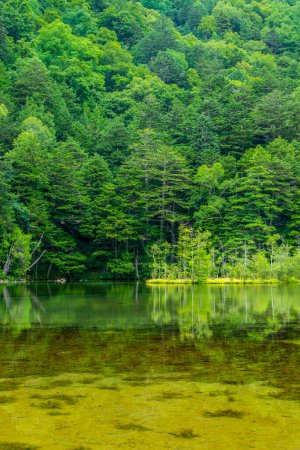 Téléchargez les photos : Belle vue paysage de la nature avec étang - en image libre de droit