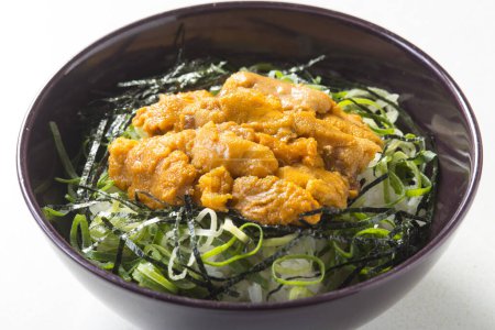 Japanische köstliche Seeigel-Schale