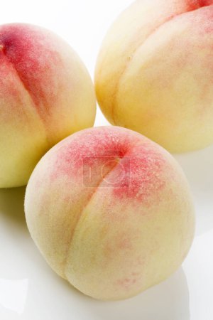 Photo for Close up view of ripe peaches on white background - Royalty Free Image