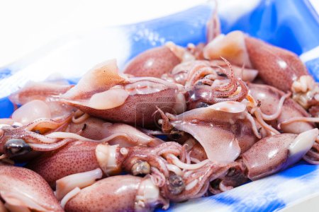 Foto de Pile of raw small squids on plate - Imagen libre de derechos