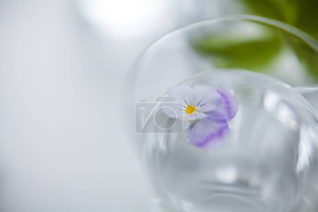 Téléchargez les photos : Fleur violette en verre avec de l'eau propre - en image libre de droit