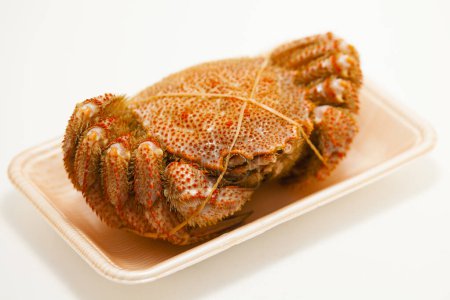 Téléchargez les photos : Savoureux Crabe cheveux Hokkaido sur plaque sur fond, gros plan - en image libre de droit