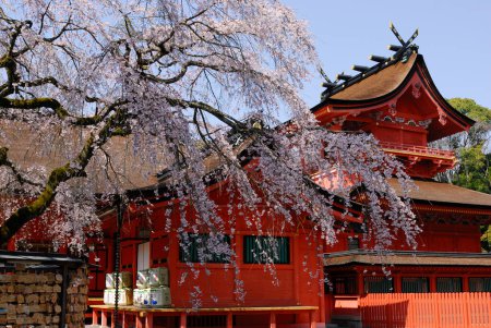 Téléchargez les photos : Belle capture d'un ancien sanctuaire japonais - en image libre de droit