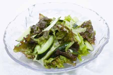 Photo for Salad with green lettuce leaves and fresh cucumbers - Royalty Free Image