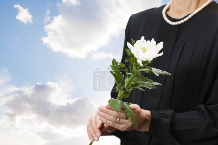 woman holding the white chrysanthemum on background, close up