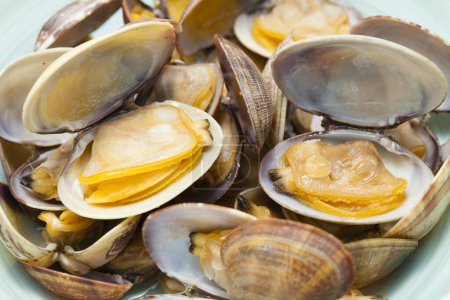 Photo for Mussels in shells on the plate - Royalty Free Image