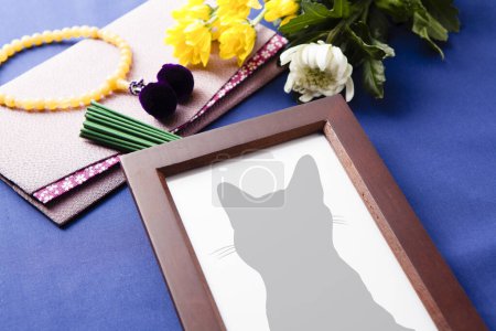 Family pet cat portrait in a wooden frame