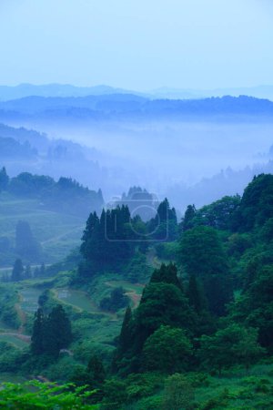 Téléchargez les photos : Le paysage de la montagne et des rizières dans le brouillard matinal. - en image libre de droit