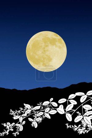 Foto de Luna llena en el cielo nocturno, montañas oscuras y ramas con hojas - Imagen libre de derechos