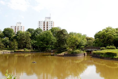 Foto de Vista del parque de la ciudad con lago - Imagen libre de derechos