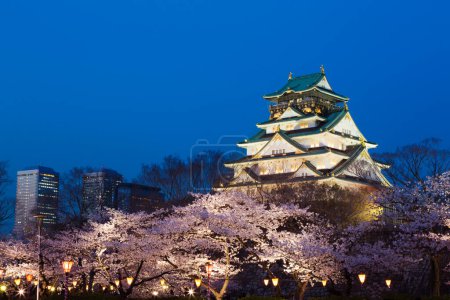 hermoso castillo de Osaka con flor de cerezo, Osaka, Japón