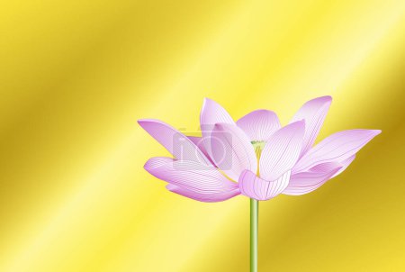 Téléchargez les photos : Belle fleur de lotus rose sur fond jaune. - en image libre de droit